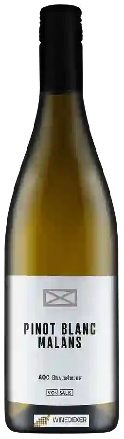 Weingut Von Salis - Malanser Pinot Blanc Weingut Von Salis - Malanser Pinot Blanc