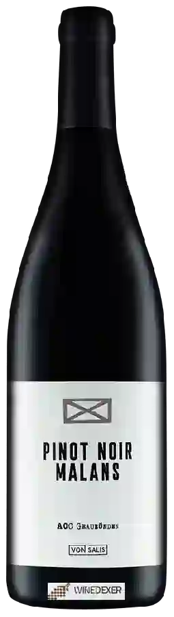 Weingut Von Salis - Pinot Noir Malans Weingut Von Salis - Pinot Noir Malans
