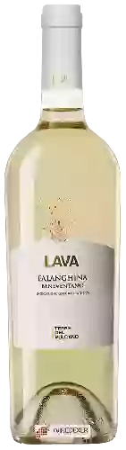 Weingut Vulcano - Lava Falanghina Beneventano