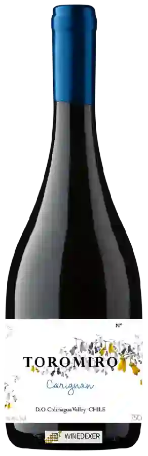 Weingut Vultur - Toromiro Carignan Weingut Vultur - Toromiro Carignan