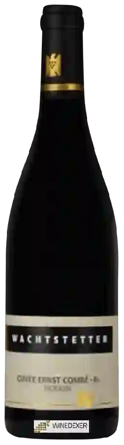 Weingut Wachtstetter - Cuvée Ernst Combé-R-Trocken Weingut Wachtstetter - Cuvée Ernst Combé-R-Trocken