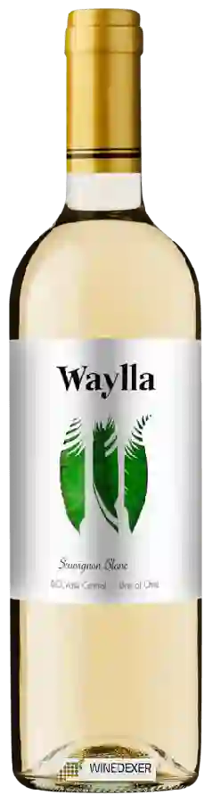 Weingut Waylla - Sauvignon Blanc Weingut Waylla - Sauvignon Blanc