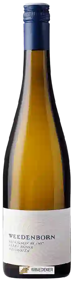 Weingut Weedenborn - Westhofen Terra Rossa Sauvignon Blanc