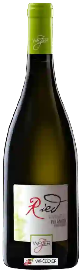 Weingut Josef Weger - Ried Ruländer Pinot Grigio