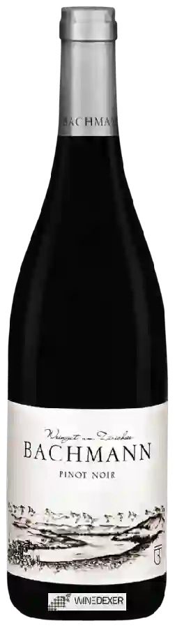 Weingut am Zürichsee Bachmann - Pinot Noir Weingut am Zürichsee Bachmann - Pinot Noir