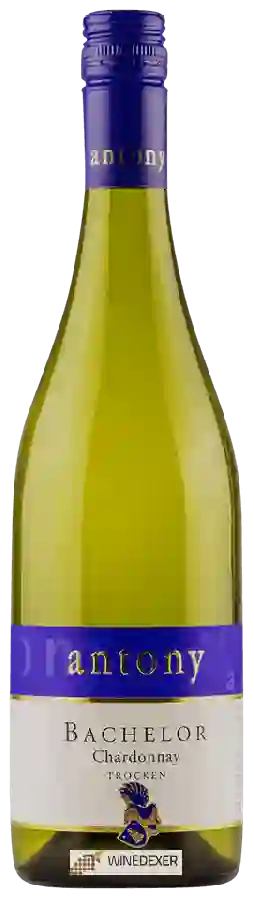 Weingut Antony - Bachelor Chardonnay Trocken Weingut Antony - Bachelor Chardonnay Trocken
