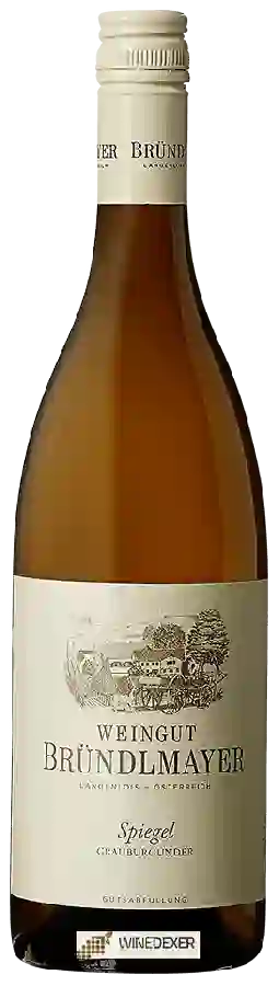Weingut Bründlmayer - Grauburgunder Spiegel Weingut Bründlmayer - Grauburgunder Spiegel