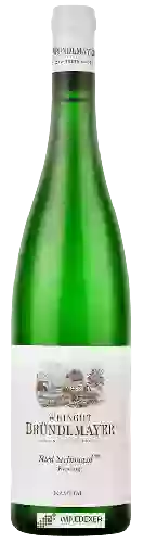 Weingut Weingut Bründlmayer - Riesling Steinmassel