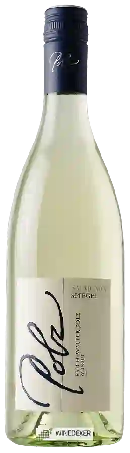 Weingut Erich & Walter Polz - Spiegel Sauvignon Blanc Weingut Erich & Walter Polz - Spiegel Sauvignon Blanc