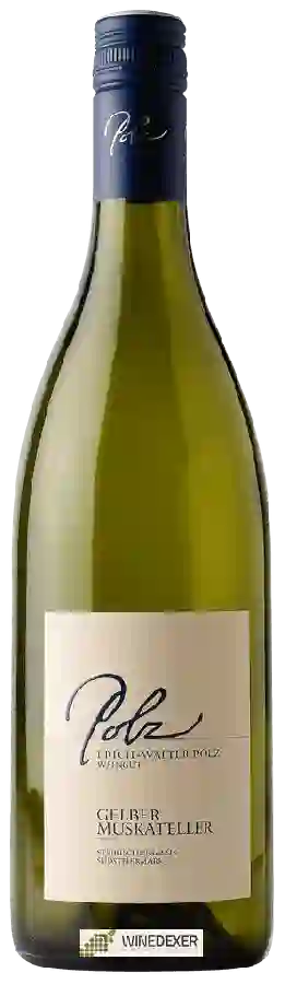 Weingut Erich & Walter Polz - Steirische Klassik Gelber Muskateller Weingut Erich & Walter Polz - Steirische Klassik Gelber Muskateller