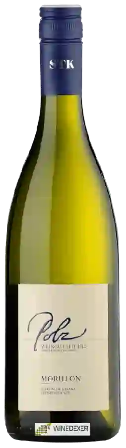 Weingut Erich & Walter Polz - Steirische Klassik Morillon Weingut Erich & Walter Polz - Steirische Klassik Morillon
