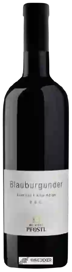 Weingut Pfostl - Blauburgunder Weingut Pfostl - Blauburgunder