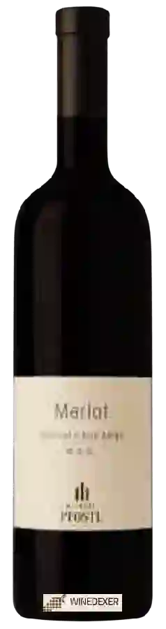 Weingut Pfostl - Merlot Weingut Pfostl - Merlot