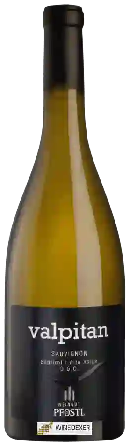 Weingut Pfostl - Valpitan Sauvignon Weingut Pfostl - Valpitan Sauvignon