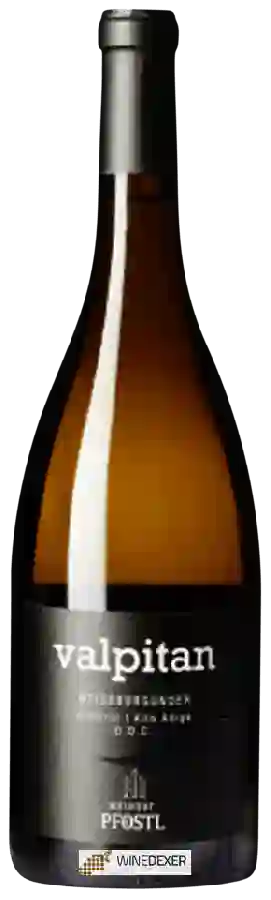 Weingut Pfostl - Valpitan Weissburgunder Weingut Pfostl - Valpitan Weissburgunder