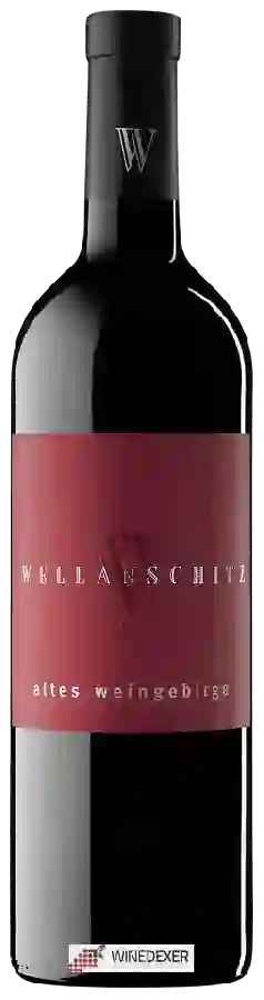 Weingut Wellanschitz - Altes Weingebirge