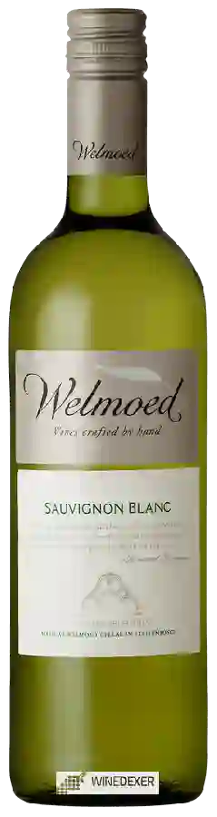 Weingut Welmoed - Sauvignon Blanc Weingut Welmoed - Sauvignon Blanc