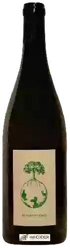 Weingut Werlitsch - Sauvignon Blanc
