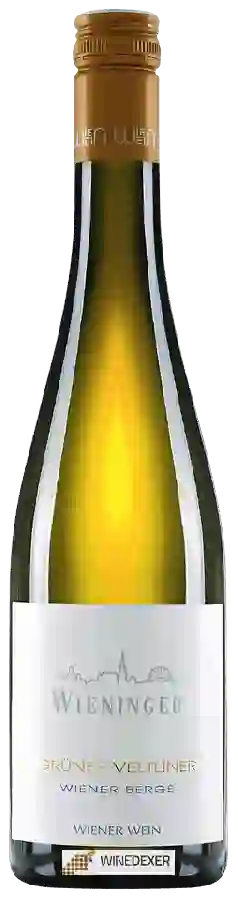 Weingut Wieninger - Wiener Berge Grüner Veltliner Weingut Wieninger - Wiener Berge Grüner Veltliner