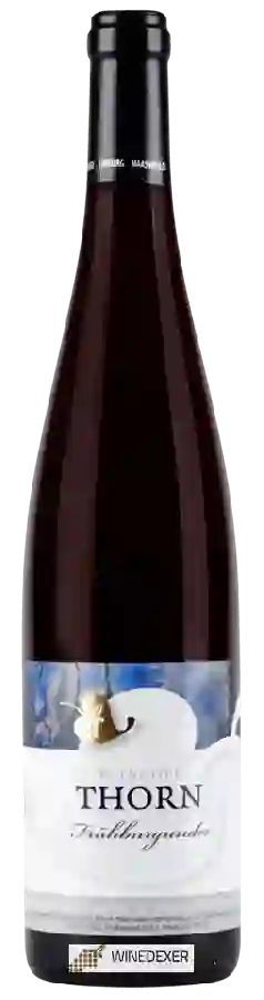 Weingut Wijngoed Thorn - Frühburgunder Weingut Wijngoed Thorn - Frühburgunder