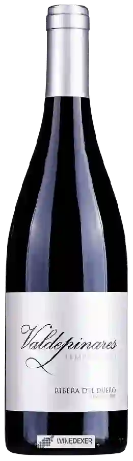 Weingut Valdepinares - Tempranillo Weingut Valdepinares - Tempranillo