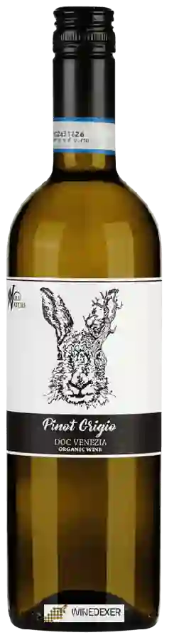 Weingut Wild Nature - Pinot Grigio
