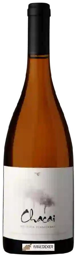 Weingut William Fèvre Chile - Chacai Mountain Chardonnay