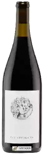 Weingut WINC - Pas Ordinaire