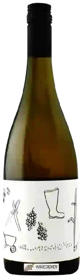Weingut The Wine Farm - Sauvignon Blanc Weingut The Wine Farm - Sauvignon Blanc