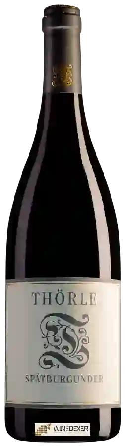 Weingut Thörle - Spätburgunder Weingut Thörle - Spätburgunder