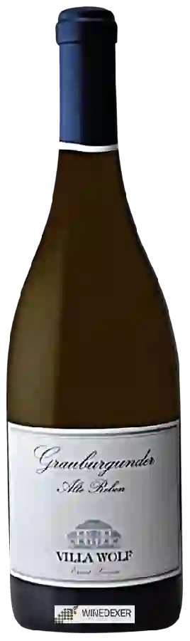 Weingut Villa Wolf - Grauburgunder Alte Reben Weingut Villa Wolf - Grauburgunder Alte Reben