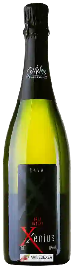 Weingut Xènius - Cava Brut Nature