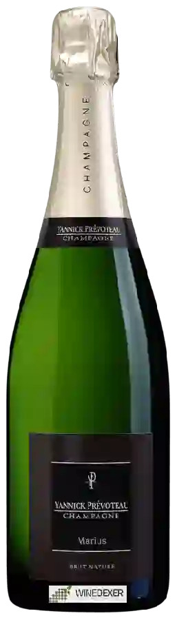 Weingut Yannick Prévoteau - Marius Brut Nature Champagne