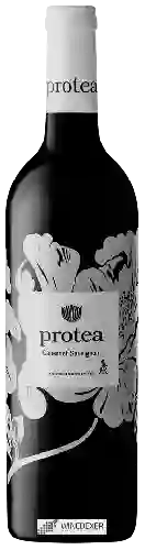Weingut Protea - Cabernet Sauvignon