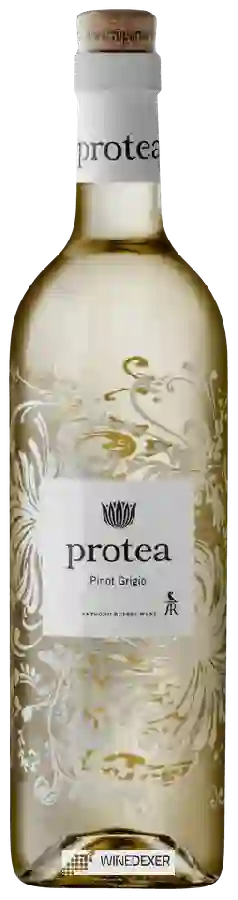 Weingut Protea - Pinot Grigio Weingut Protea - Pinot Grigio