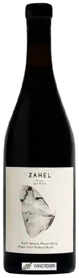 Weingut Zahel - Ried Sätzen Maurerberg Dolomitkalk Pinot Noir