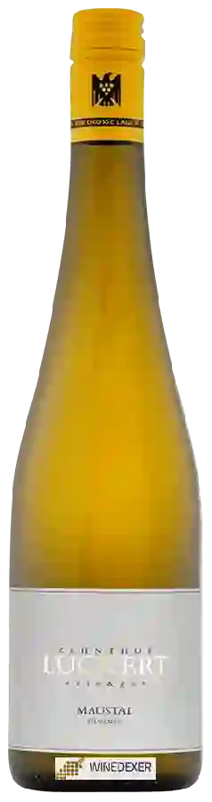 Weingut Zehnthof Luckert - Maustal Silvaner GG