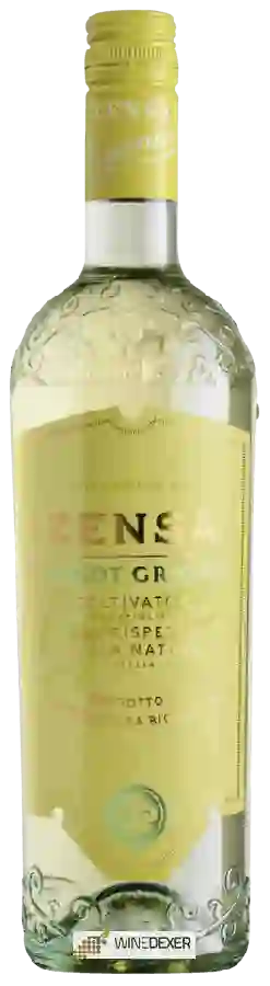 Weingut Zensa - Pinot Grigio Weingut Zensa - Pinot Grigio