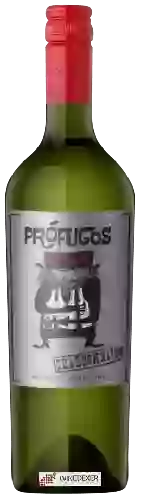 Weingut Zorzal - Prófugos Chardonnay