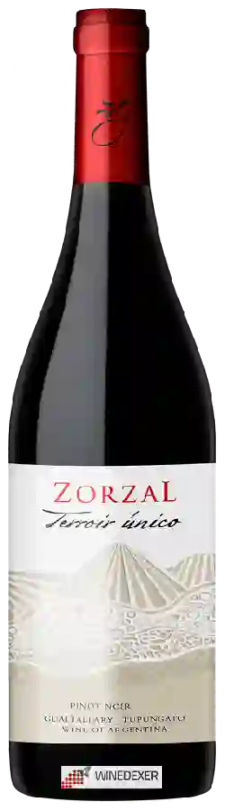 Weingut Zorzal - Terroir Único Pinot Noir