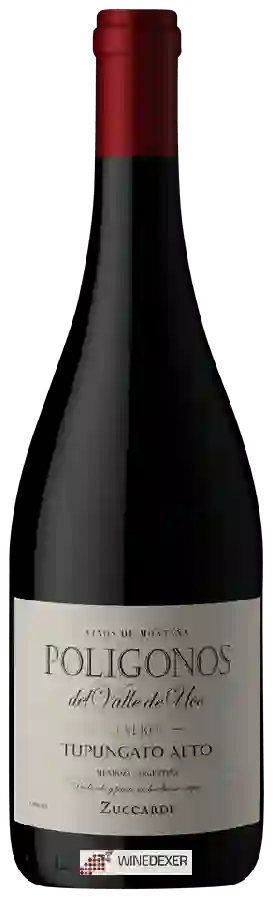 Weingut Zuccardi - Poligonos Malbec Tupungato Alto