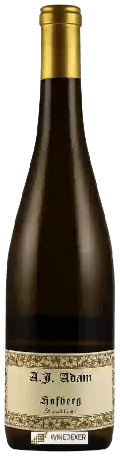 Winery A. J. Adam - Hofberg Spätlese Riesling Winery A. J. Adam - Hofberg Spätlese Riesling