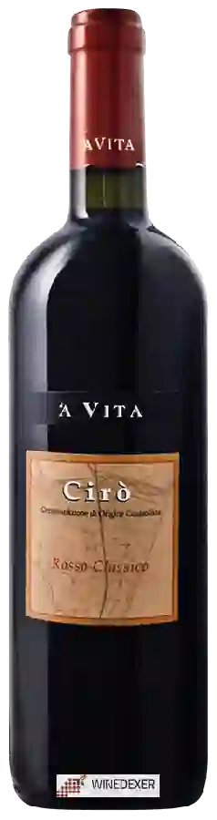 Winery 'A Vita - Cirò Rosso Classico