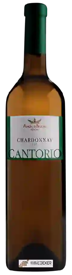 Winery Abbazia di Busco - Cantorio Chardonnay Winery Abbazia di Busco - Cantorio Chardonnay