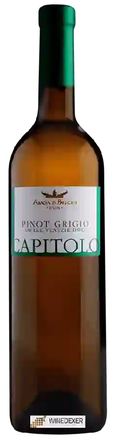 Winery Abbazia di Busco - Capitolo Pinot Grigio Winery Abbazia di Busco - Capitolo Pinot Grigio