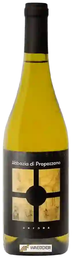 Winery Abbazia di Propezzano - Anfora