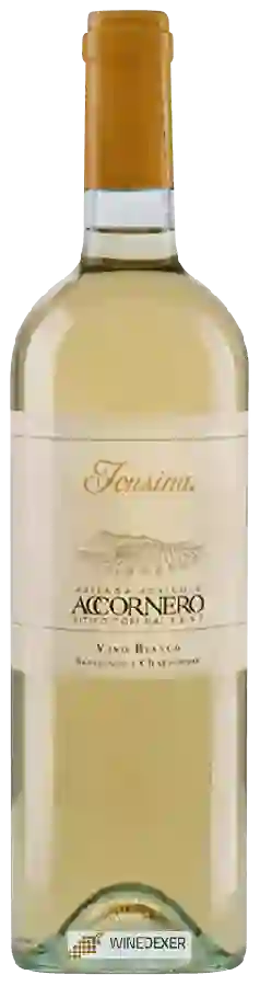 Winery Azienda Agricola Accornero - Fonsina