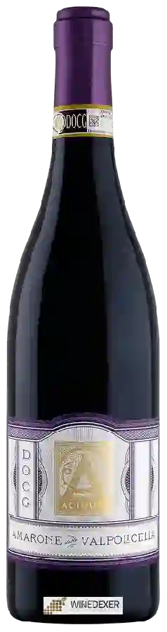 Winery Acinum - Amarone della Valpolicella