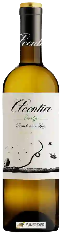 Winery Acontia - Criado Sobre Lias Verdejo Winery Acontia - Criado Sobre Lias Verdejo