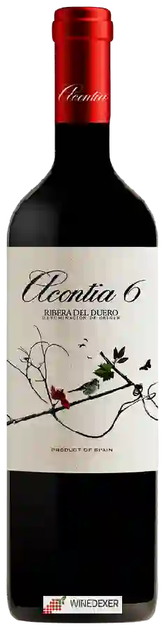 Winery Acontia - 6 Meses